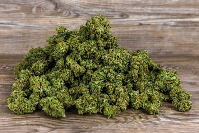 Bearkat THCa: Revolutionizing the World of Cannabinoids